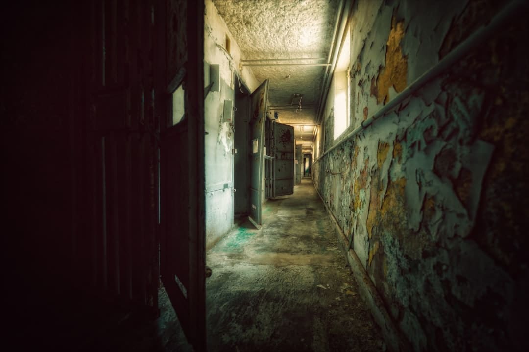 《子夜归》是改编自小说吗 子夜归哪个卫视台在播？